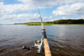 Best Fishing Tackle and Gear Reviews