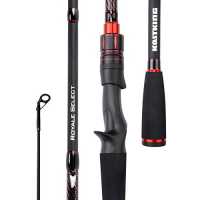 Best Bass Fishing Rods of 2020 