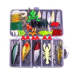 PLUSINNO Fishing Lures Baits Tackle Box Review: A Look at the Quality and  Value of this Tackle Box 