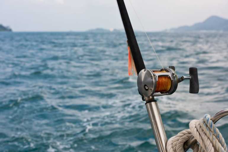 What You Need to Keep in Mind Before Fishing Tunas | Fishing.org