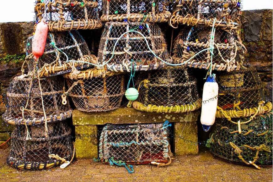 Buy 3 Sporty Crab Traps Are BEST. Experience the Sport of Casting
